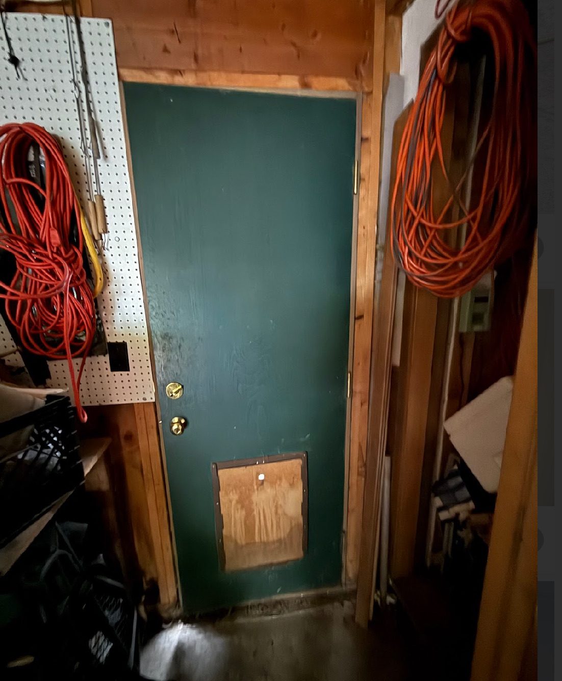 Garage access door before replacement